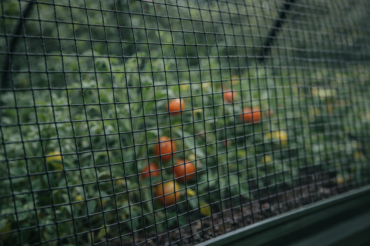 Hochbeet-System "Smaragd" – Mit Allwetter- & Vogelschutzhaube