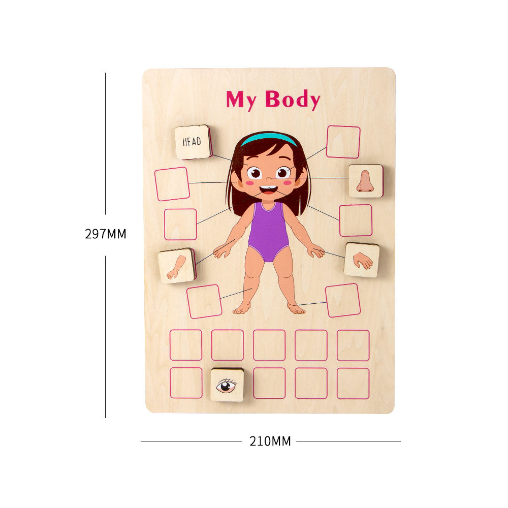 Montessori Holzpuzzle Körperteile – Anatomie-Lernspiel